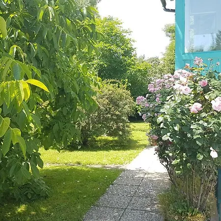 Liebenau *